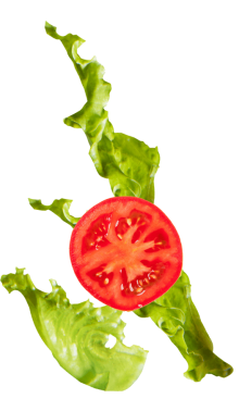 lettuce_tomato@2x-min